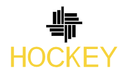 Professional Hockey Equipment Store